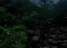 Tiantai Mountain Tourist Attraction