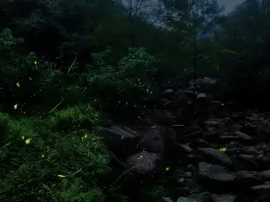 천대산(톈타이산) 관광지