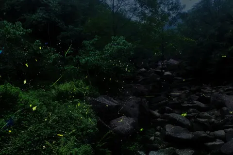 Tiantai Mountain Tourist Attraction