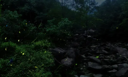 Tiantai Mountain Tourist Attraction