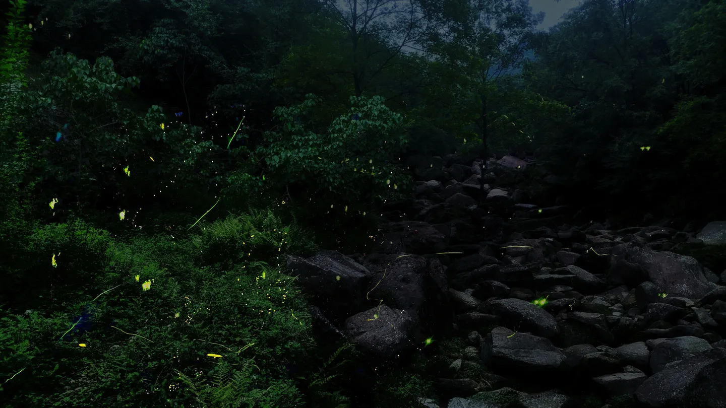 1_Tiantai Mountain Tourist Attraction