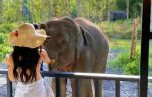 Elephant Care Park Phuket