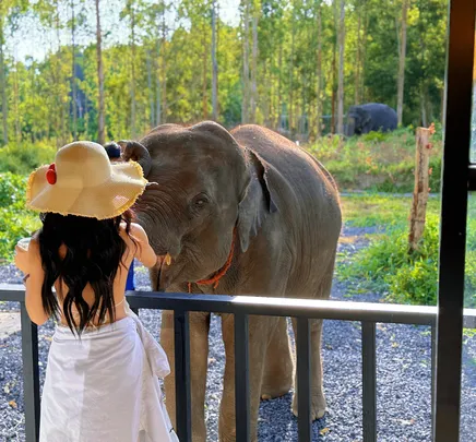 1_Elephant Care Park Phuket