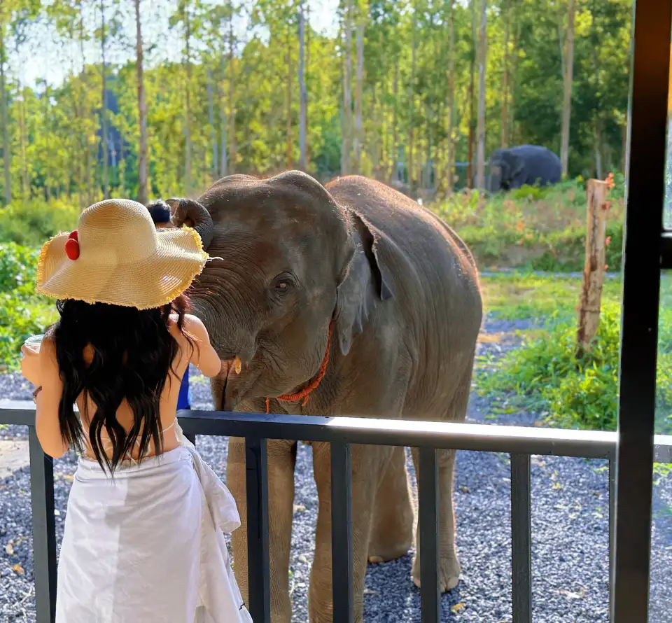 5_Elephant Care Park Phuket