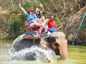 Chang Thai Thappraya Safari