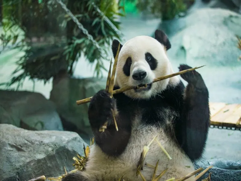 2_泉城歐樂堡動物王國