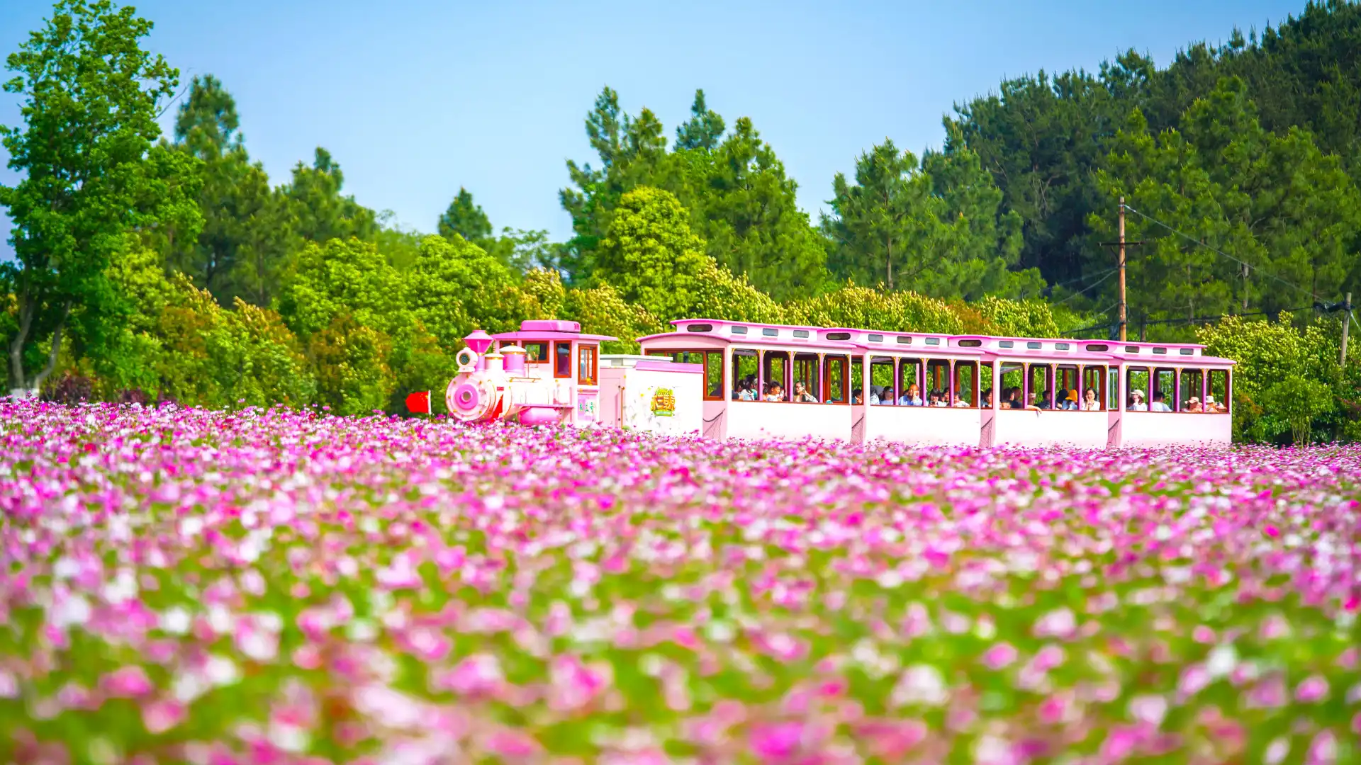 Hotels near Mulan Grassland