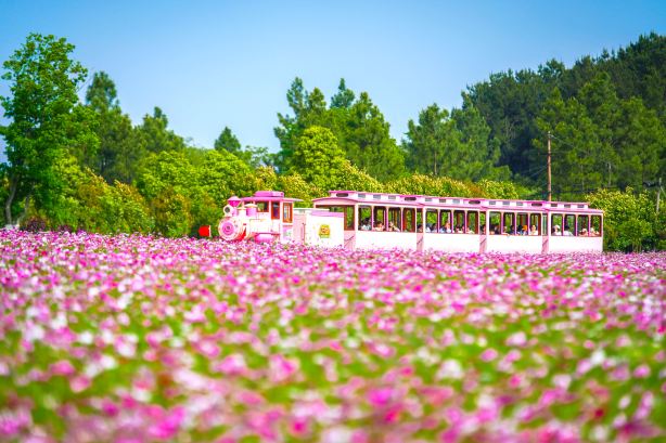 Mulan Grassland
