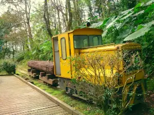 Chinan National Forest Recreation Area