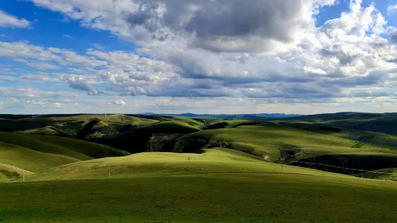 鄂爾多斯大草原