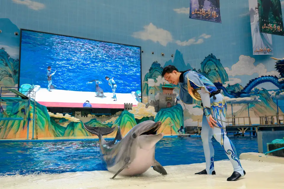 3_Tianjin Polar Ocean Resort