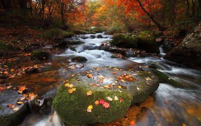 Laobiangou Scenic Area