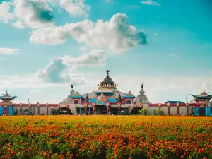 Fengning Bashang Grassland