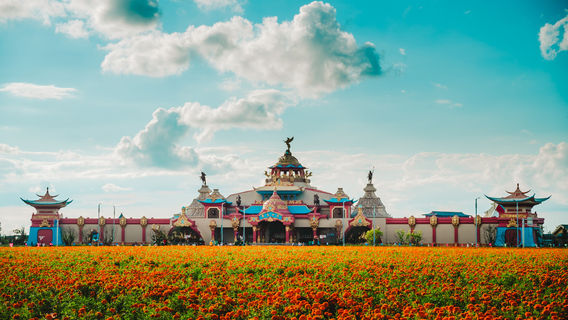 Fengning Bashang Grassland