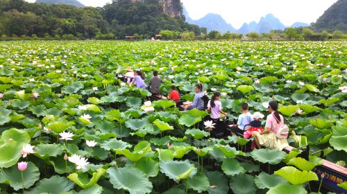 Jiulong Town