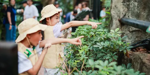 廣州長隆野生動物世界一日遊【長隆門票+森林小火車+纜車】