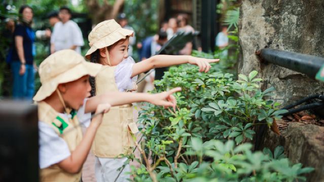 Guangzhou Chimelong Safari Park 1-day Tour [Chimelong Admission Ticket + Forest Train + Cable Car]