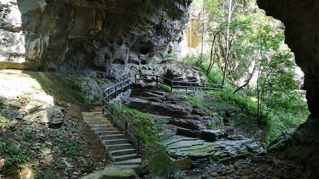 niu che he xiang cun wen lv zong he ti