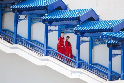 Unique Dream of Red Mansion