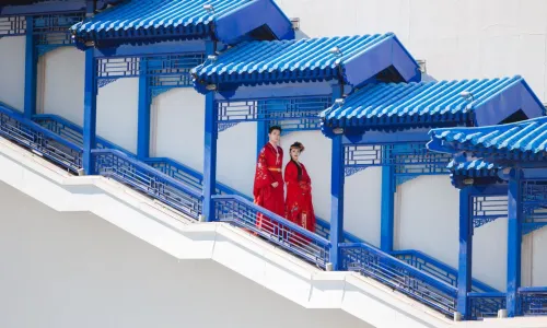 Unique Dream of Red Mansion