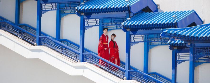 Unique Dream of Red Mansion