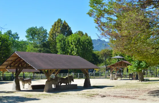 首爾動物園門票 + 空中吊椅 2 次小童