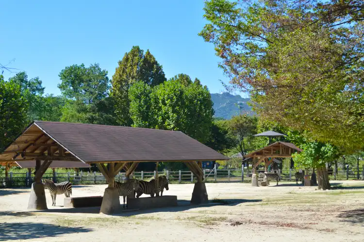 Hotels in Gwacheon