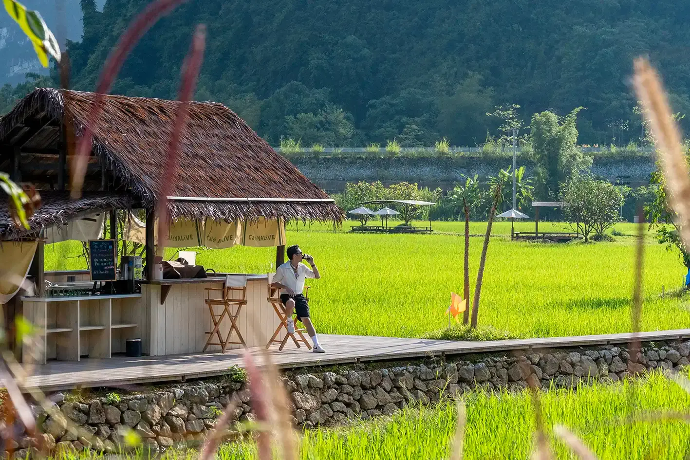 Hotels near DAONALi
