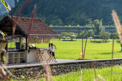 DAONALi