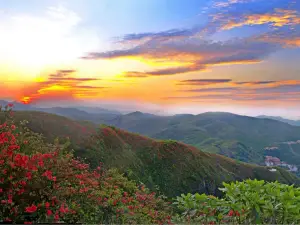 Yangmingshan National Forest Park