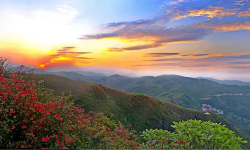 Yangmingshan National Forest Park