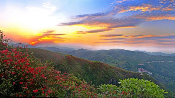 Song Bài