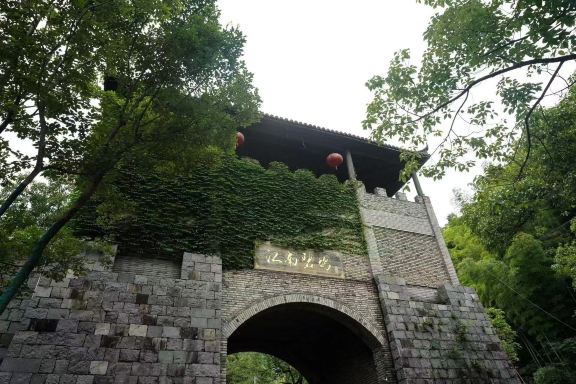 후저우 벽오룡담