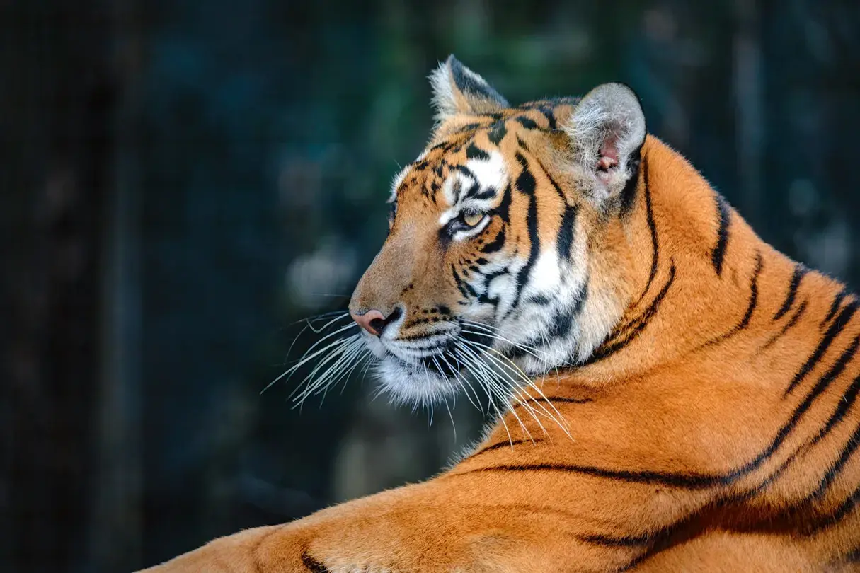 4_Shanghai Zoo