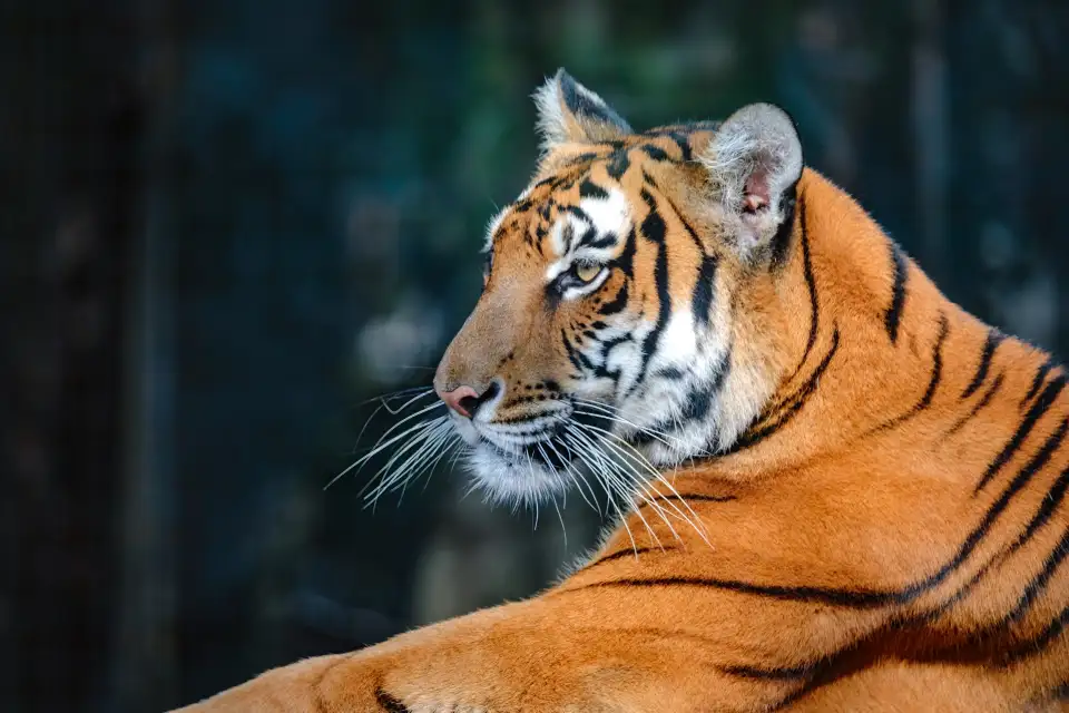5_Shanghai Zoo