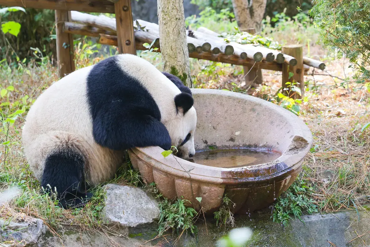 2_安吉竹博園