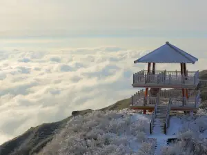 대위산(다웨이산) 국가삼림공원