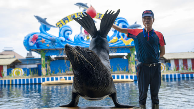 Fenjiezhou Island Scenic Area – Ocean Theater