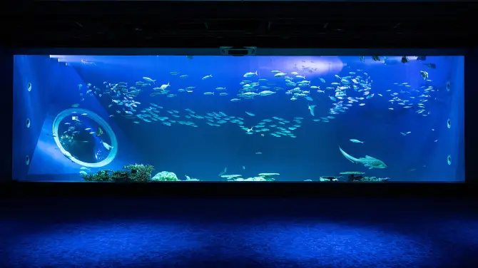 5_DMM Kariyushi水族館