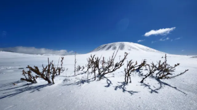 Wulanhada Volcano Geopark