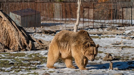 Zoological Center Bear Sanctuary