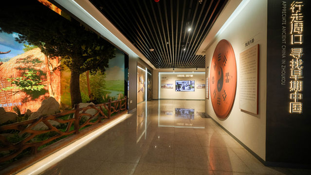 yu jian qi miao dong wu biao ben guan