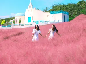 Manhua Sea of Flowers