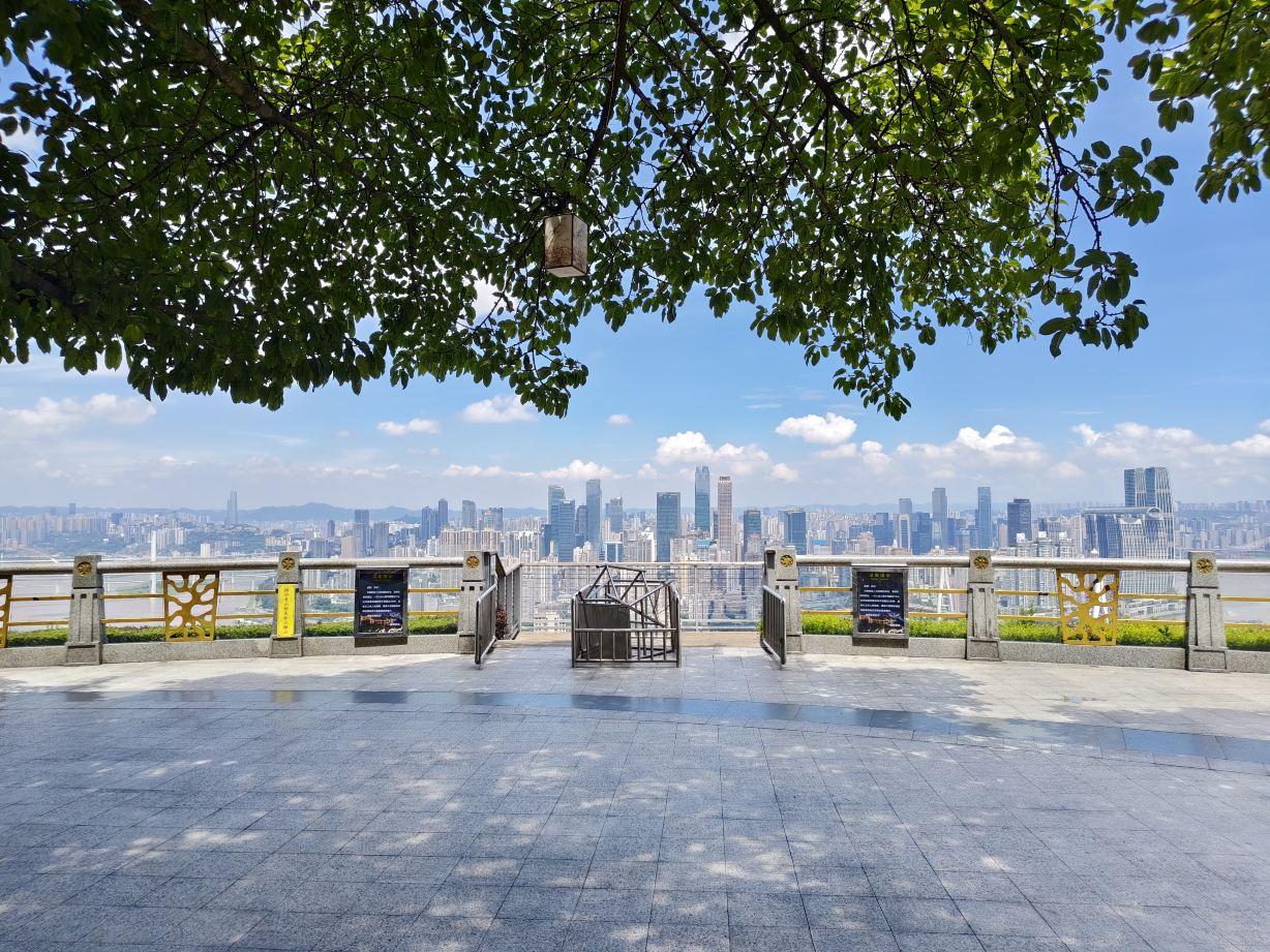 Nanshan A Tree