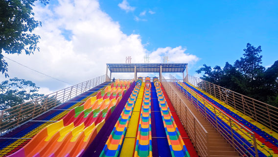 Sweet City Squirrel Forest Park