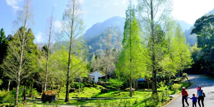 溪頭自然教育園區