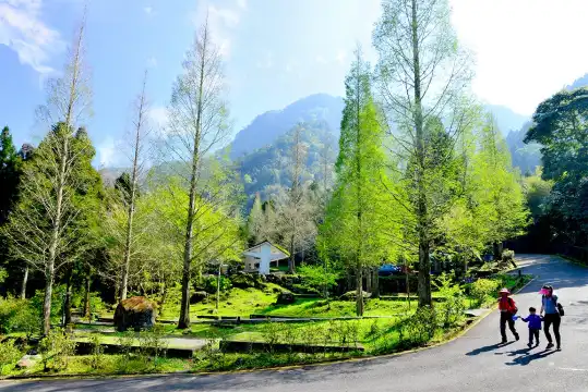 Hotels near Xitou Nature Education Area