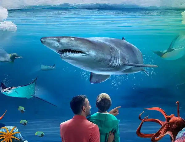 Hotels near SEA LIFE Kelly Tarlton's Aquarium