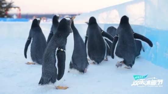 呼和浩特歡樂冰雪節