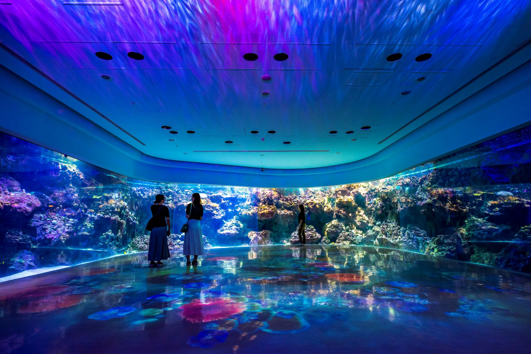 Xpark Aquarium